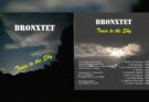 Jaquette du CD Train to the Sky, de Bronxtet (2024)